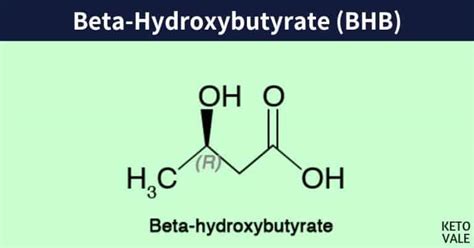 beta hydroxybutyrate levels|Beta.